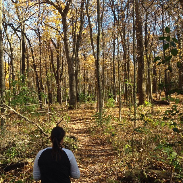 Beautiful Day to walk Fabyan Forest Preserve